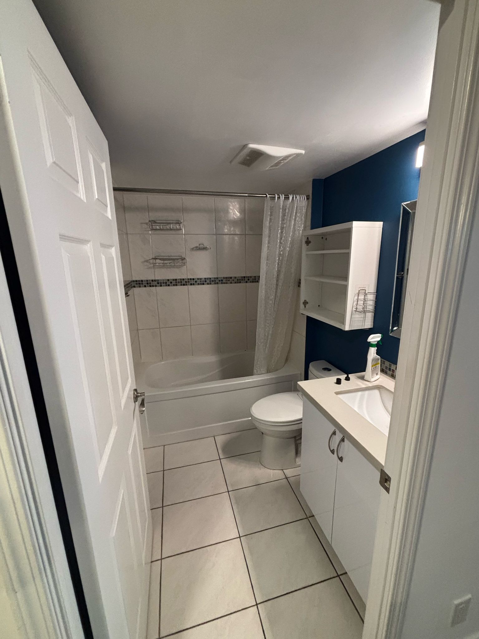 Bathroom renovation before